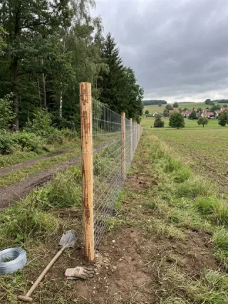 Wildzaun in Dohna - fachgerechte Ausführung vor Ort